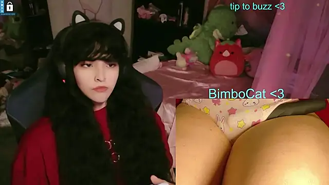 BimboCat webcam