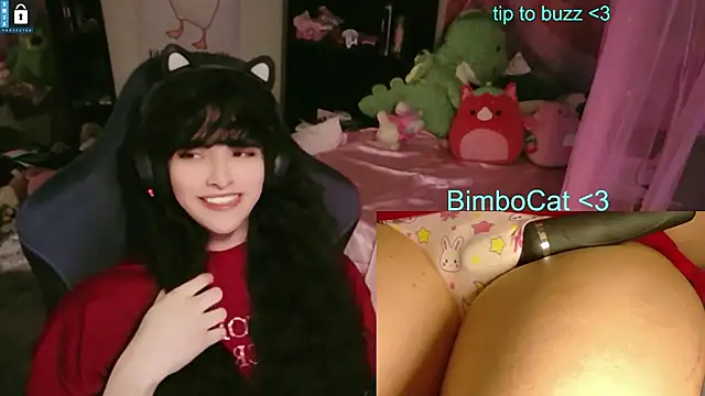 bimbocat's live room