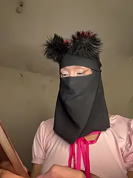 arabayla webcam