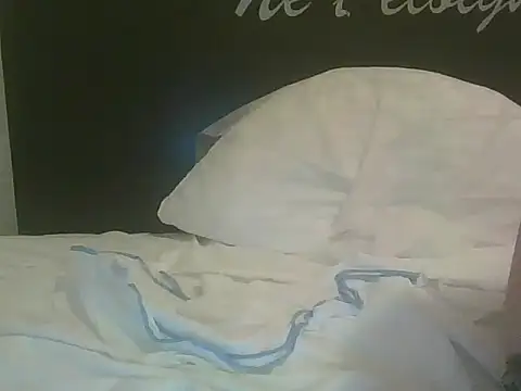 iodis webcam