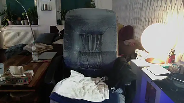 tomz0819 webcam