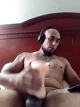 Mac15151 webcam