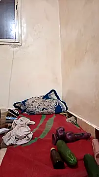 trans511 webcam