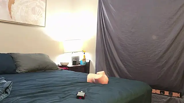 Mrkarizma webcam