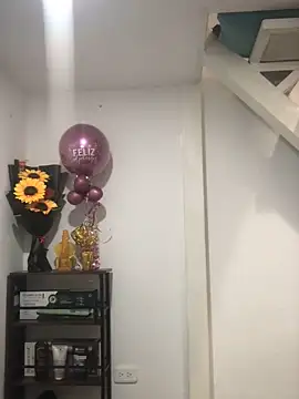 MelissaSam_ webcam