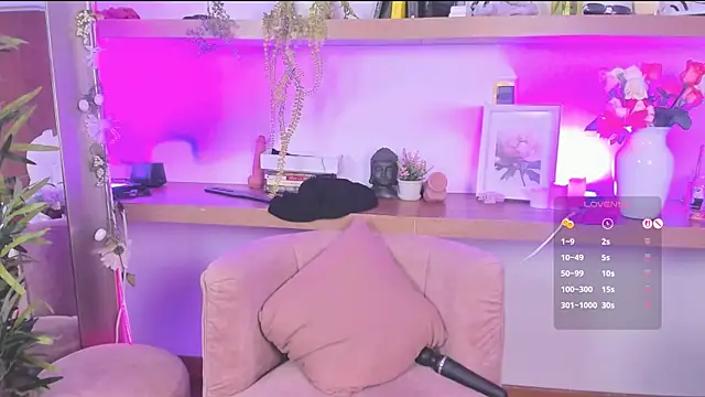 _Lorraine_v webcam