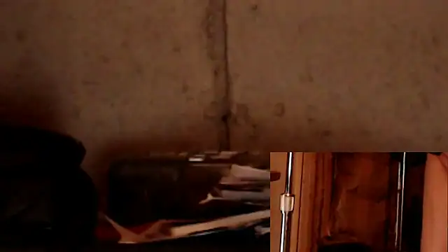 willMCML_M webcam
