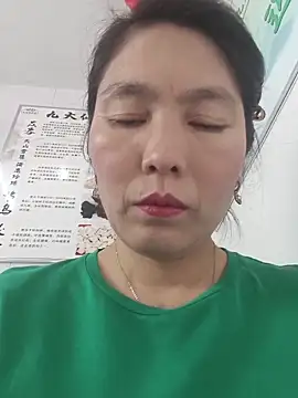 LL-001 webcam