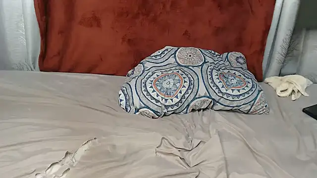 WEPUSSY23XX webcam