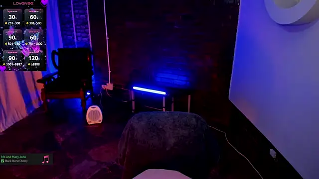 cee2nv webcam