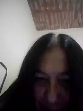 catdool webcam