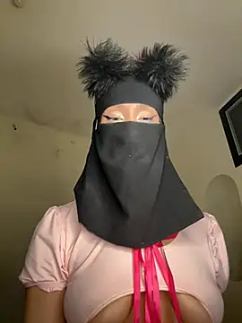 arabayla webcam
