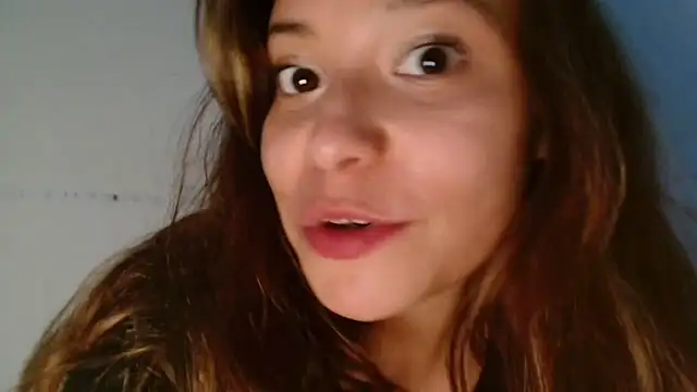 3littles webcam