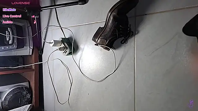 GreisyAndHazzan webcam