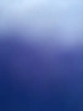 MerlinDave webcam