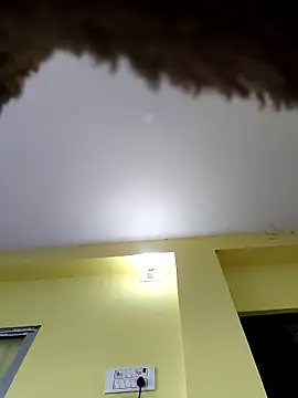 Minakshi-Gi webcam