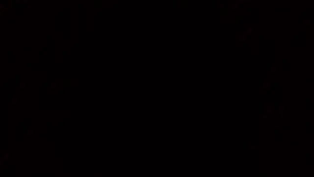 oglong webcam