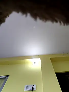 Minakshi-Gi webcam