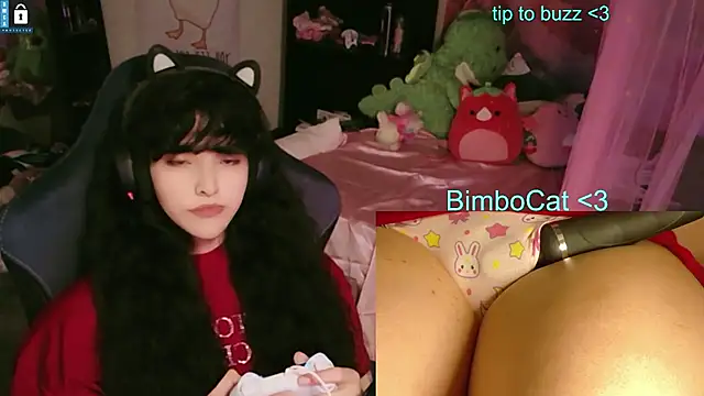 BimboCat
