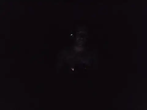 Nidge251 webcam