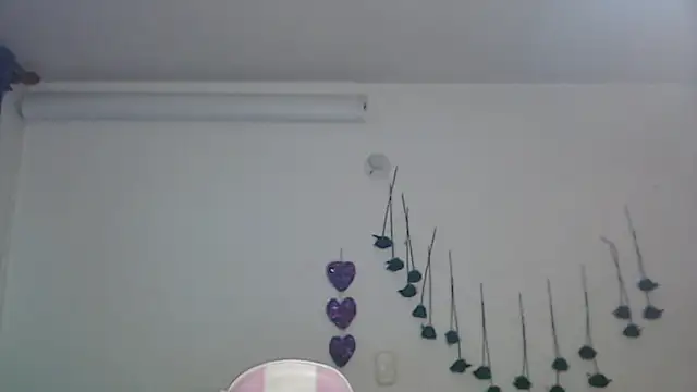 SLOPPYTITSS webcam