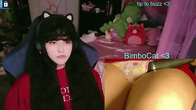 BimboCat webcam