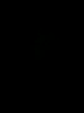 Breezyvikky