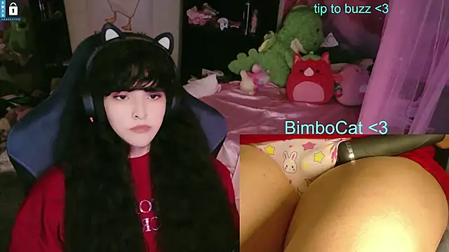 BimboCat webcam