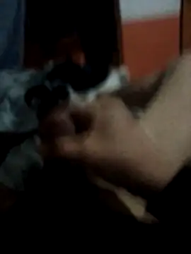 Marioeso webcam