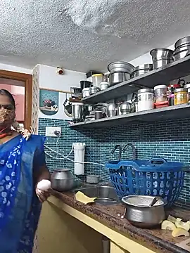 revathisree webcam