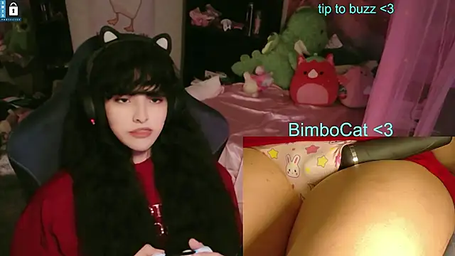 BimboCat webcam