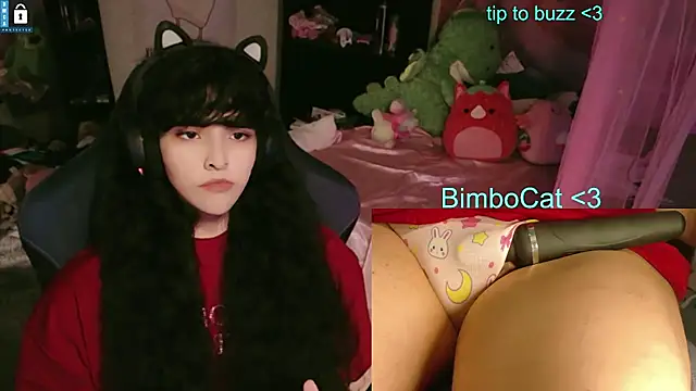 BimboCat webcam