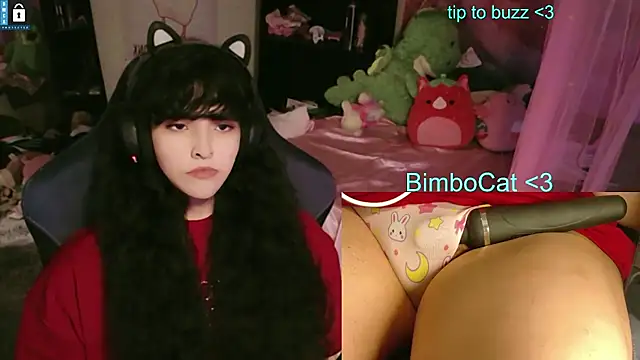 BimboCat webcam