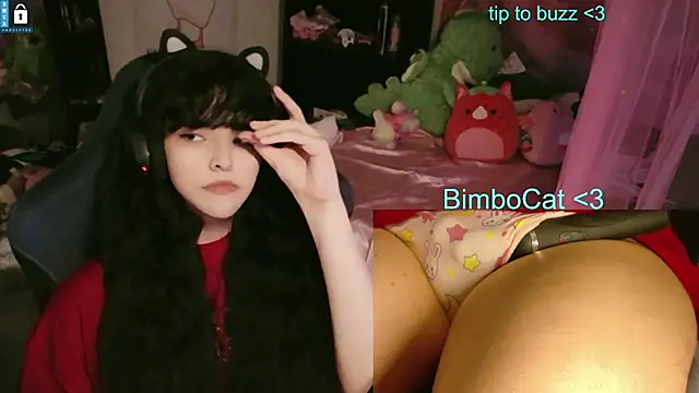 bimbocat's live room