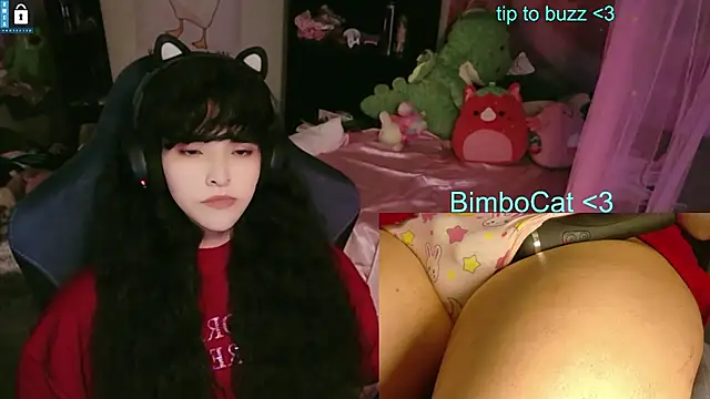 BimboCat webcam