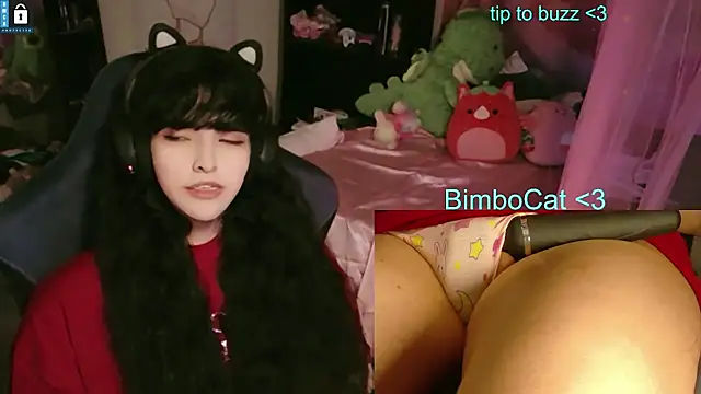 BimboCat webcam