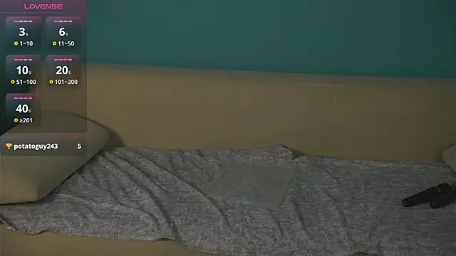 Inari_Okami_ webcam