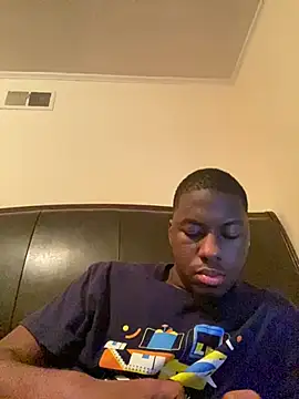 ThickDic28 webcam