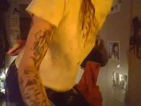 plsmecha webcam