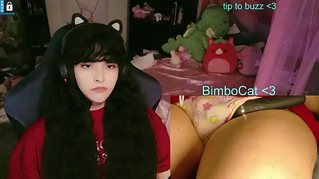 BimboCat webcam