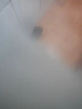 Alcon347 webcam
