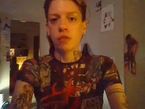 plsmecha webcam