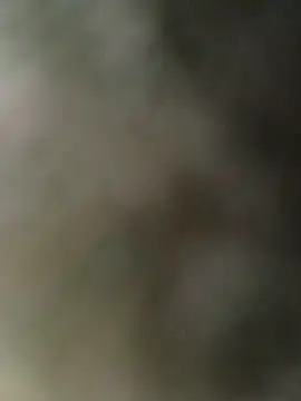 mem0069 webcam