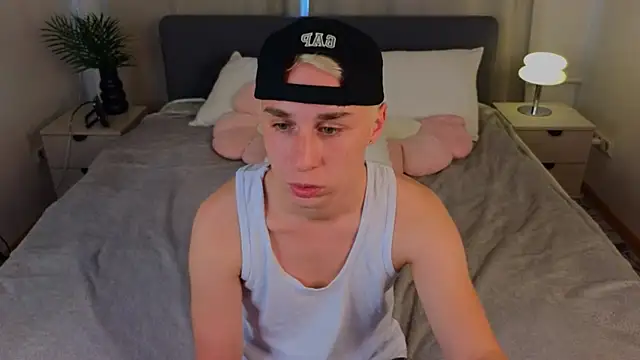 e1v1s webcam