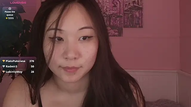 Inari_Okami_ webcam