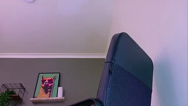 MrFox__ webcam