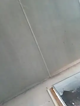 B3toBaby webcam