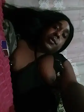 Hellentrans24 webcam