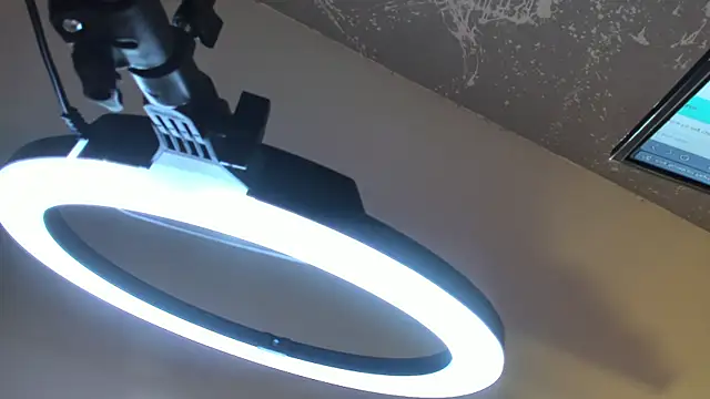 MarcoAndAllice webcam