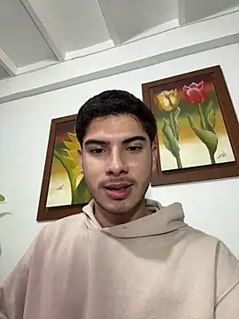 ApoloGray__ webcam